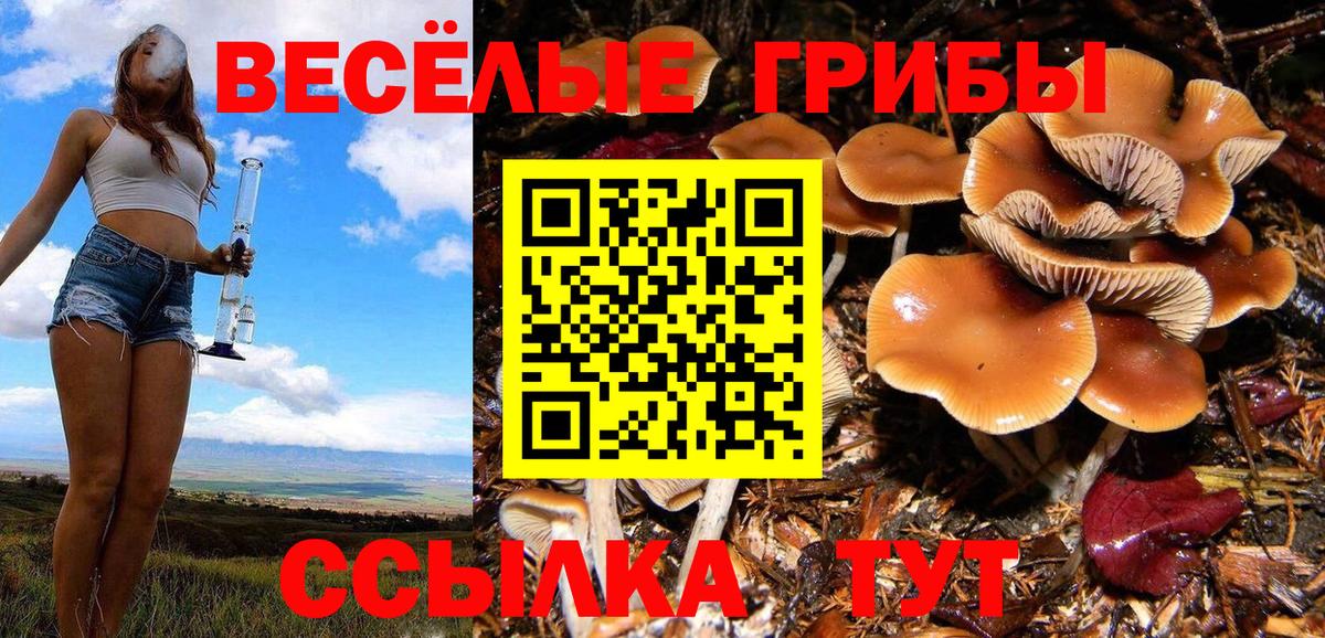 Галлюциногенные грибы Magic Shrooms Канск