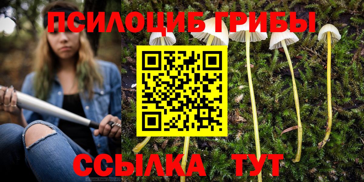Галлюциногенные грибы Psilocybe  Псилоцибиновые грибы ЛСД  продажа наркотиков  Вход с VPN  Канск 